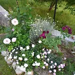 Apartmaji Lejardin Lejlighed *