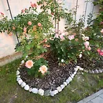 Apartmaji Lejardin Lejlighed Škofljica