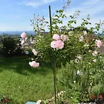 Lejlighed Apartmaji Lejardin Škofljica