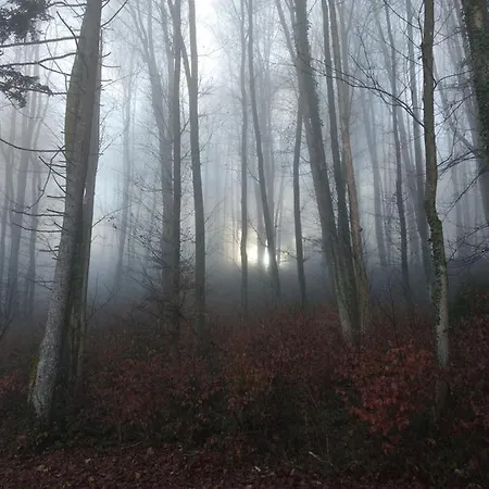 Apartmaji Lejardin Škofljica