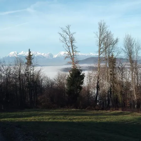 Apartmaji Lejardin * Skofljica