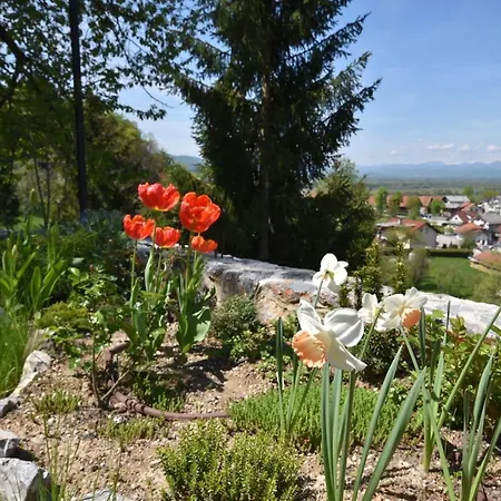 Apartmán Apartmaji Lejardin *