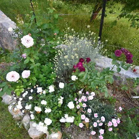 Apartmaji Lejardin 아파트 *