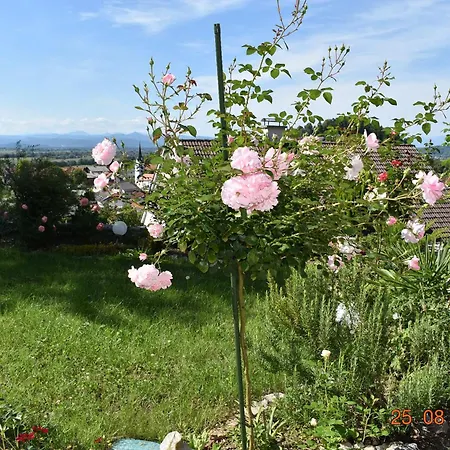 Apartment Apartmaji Lejardin Skofljica