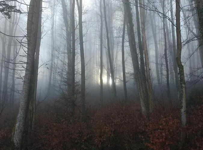 Apartmaji Lejardin Škofljica