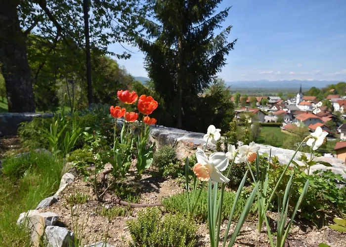 Appartement Apartmaji Lejardin *