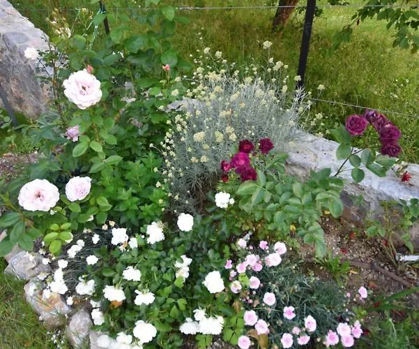 Apartmaji Lejardin Apartamento *